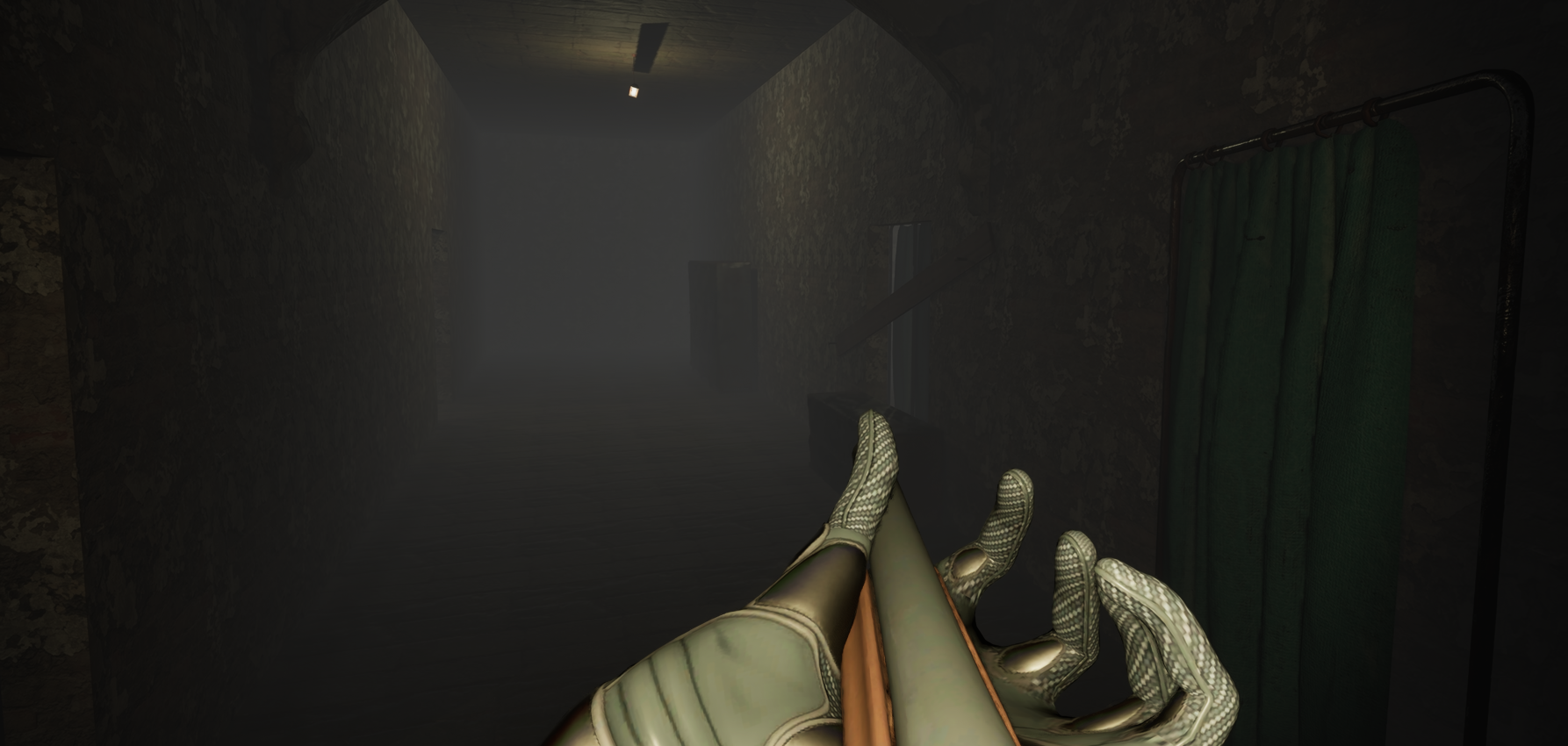Hospital de Wendigo's Outside Remake